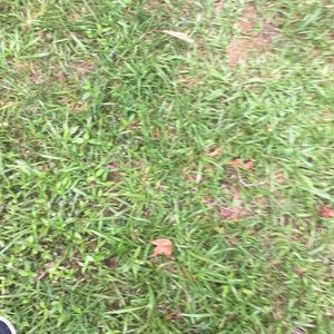 Meet your Posher, Cameron